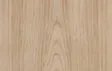 Textura de olmo